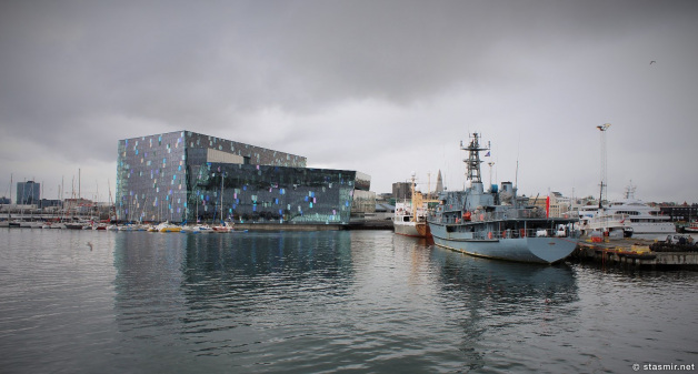 Harpa1