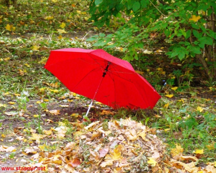fall