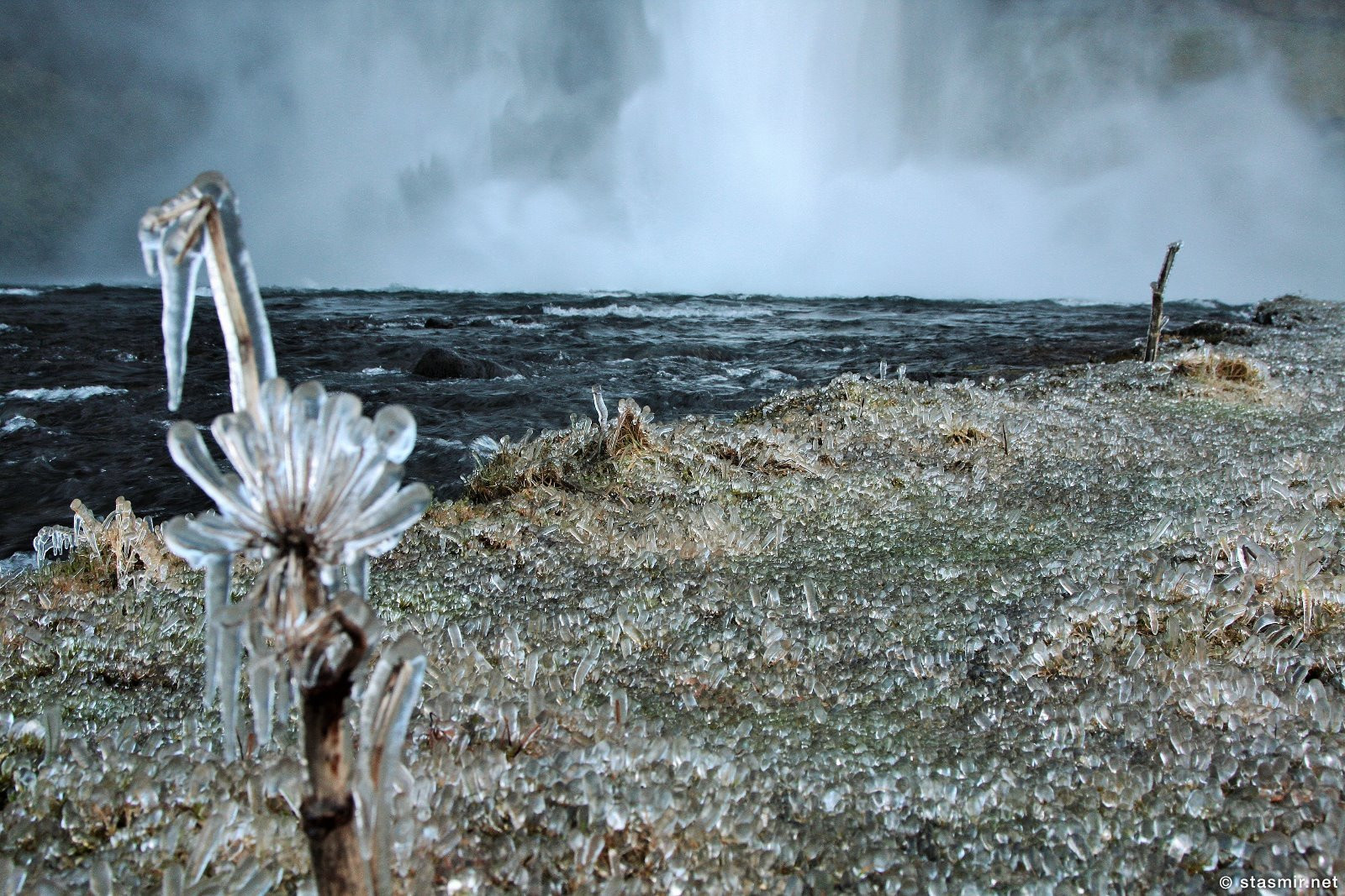 ледяной цветок дударя в Исландии у водопада Сельяландсфосс, Южный Берег Исландии, Seljalandsfoss