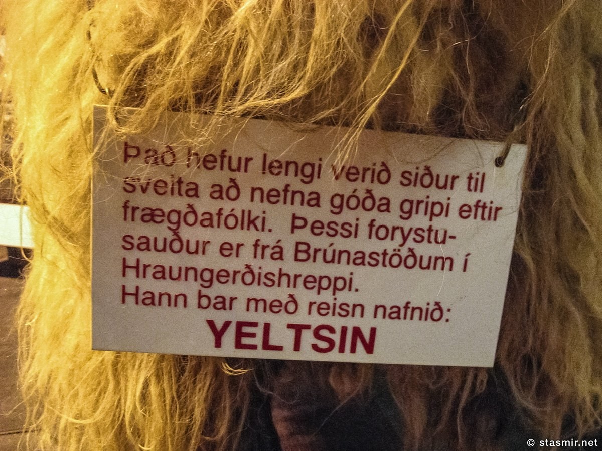 Yeltsin-in-winter