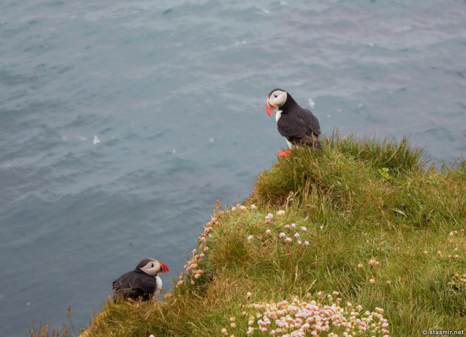 Borgarfjörður Eystri: тупики, Фото Стасмир, photo Stasmir