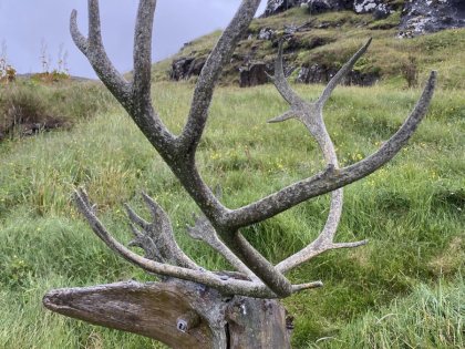 Free Will Gallery, Vilmundur, Djúpivogur, East Fjords, Iceland, Photo Stasmir, фото Стасмир