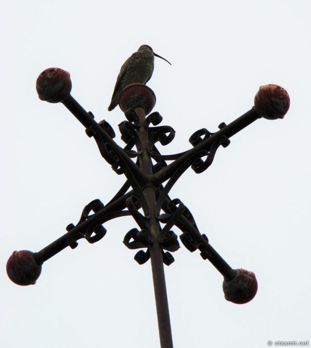 cross