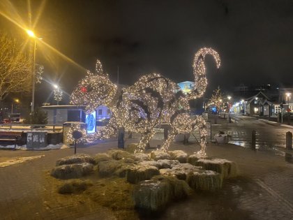 Зимний Рейкьявик, фото Стасмир, photo Stasmir