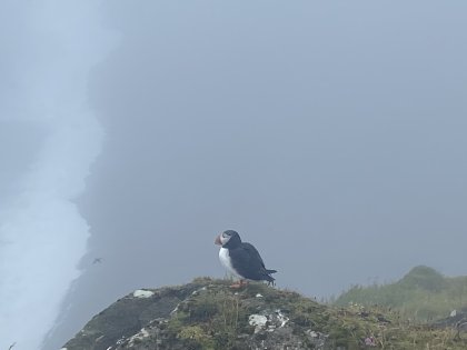 Тупик на Южном Берегу, мыл Дирхоулаэй, фото Стасмир, Photo Stasmir