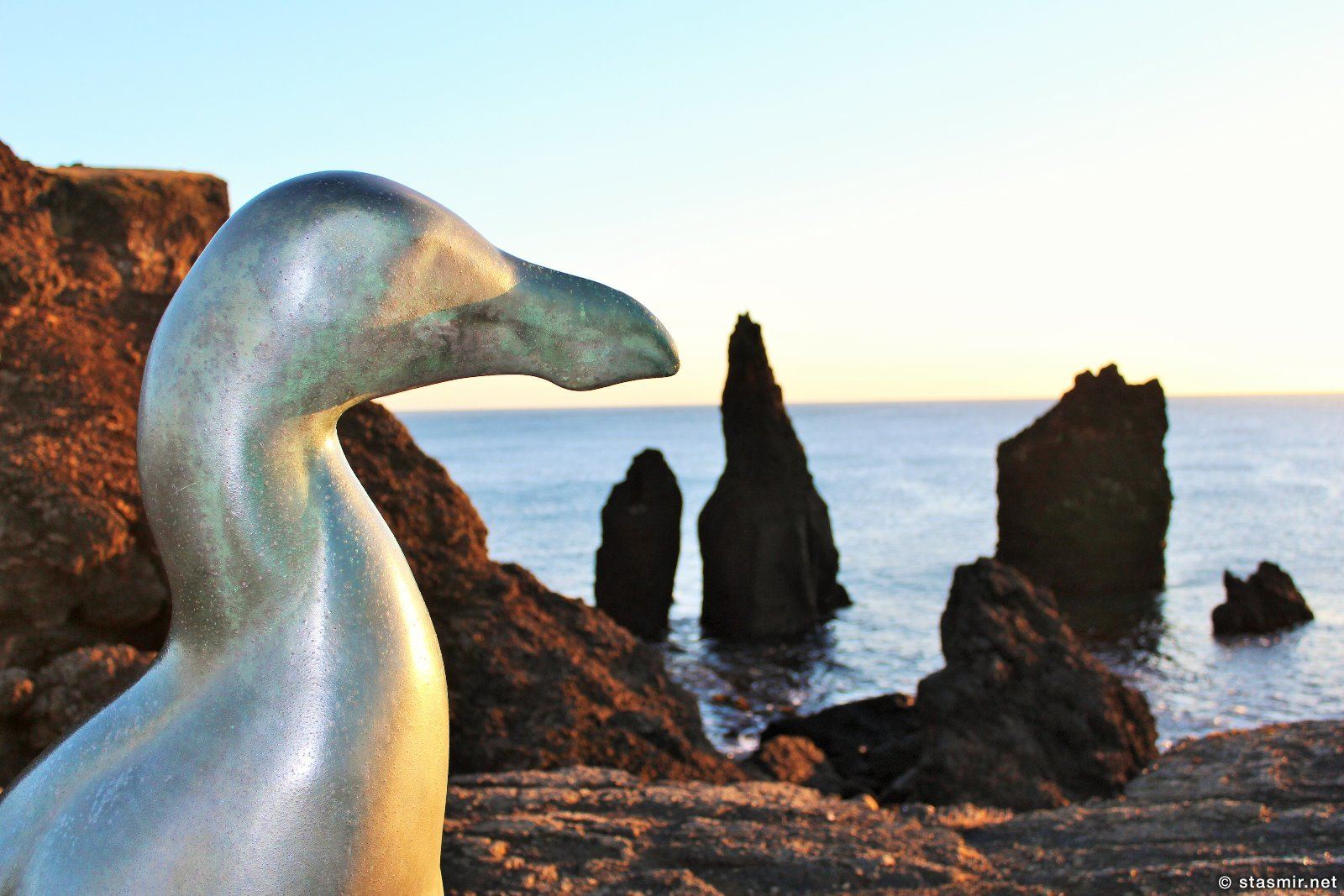 Статуя бескрылой гагарки, Полуостров Рейкьянес, Geirfugl. Great Auk, Бескрылая гагарка, Pinguinus, Gare-fowl, alca, arponaz, автор Тодд МакГрейн, фото Стасмир, Photo Stasmir