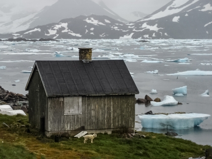 Гренландия, Greenland, Кулусук, Kulusuk, гренландская собака, голубые льдины, фото Стасмир, photo Stasmir