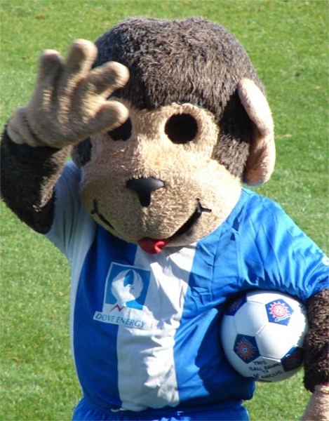hangus-hartlepool-mascot