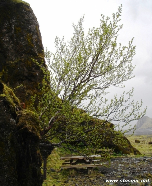 gljufur
