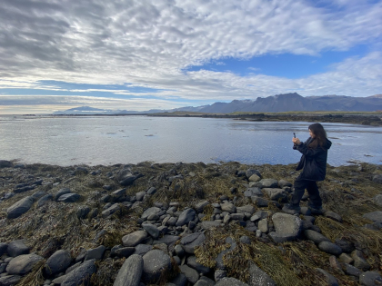 Stasmir, Stasmirnet, Стасмир, Стасмирнет, туристы фотографируют ластоногих в Исландии