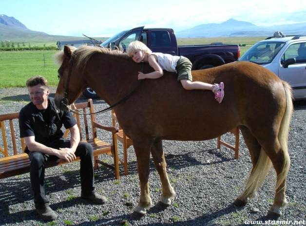 young rider