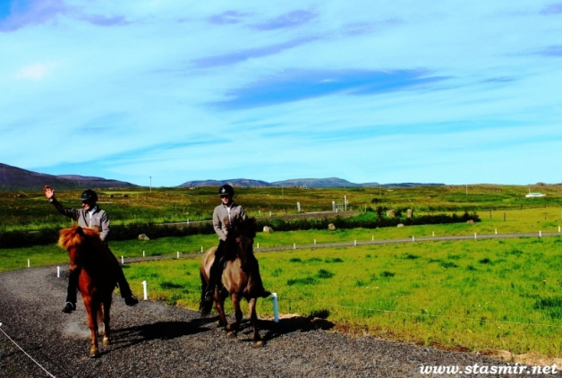 i keep the horses you keep the flat