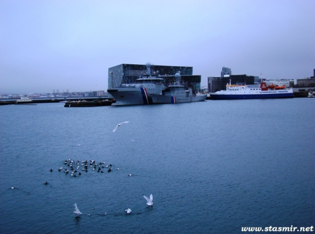 indebted ducks