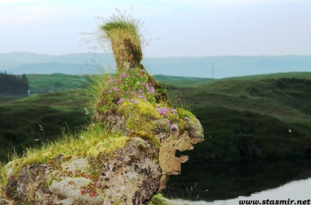 The ugly mug of icelandic motgage system