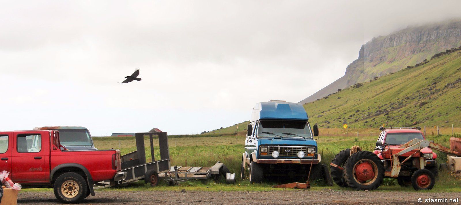 Черный ворон над Южным Берегом Исландии, фото Стасмир, photo Stasmir, ресторан Gamla Fjósið
