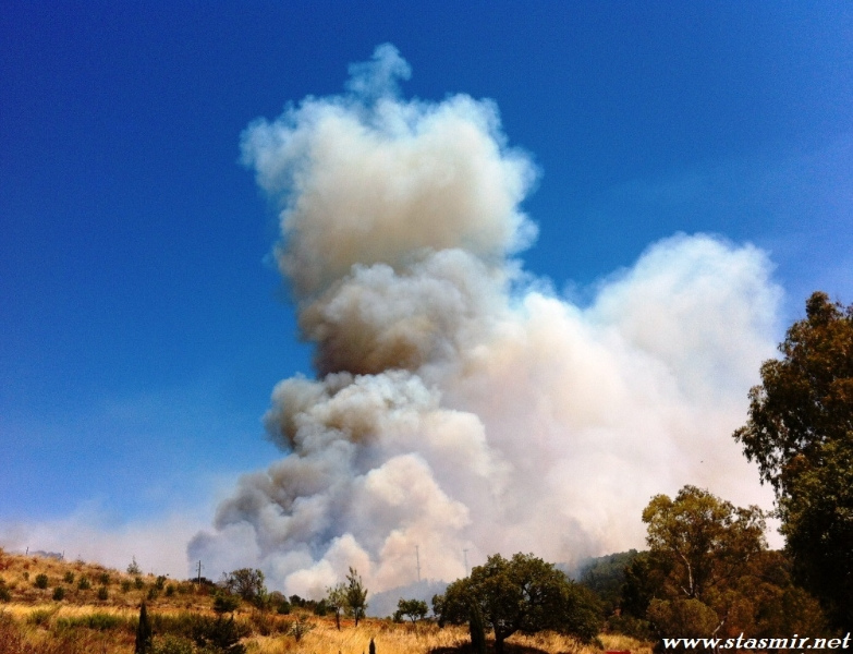 wildfire bensafrim