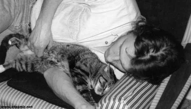 happiness is a warm cat