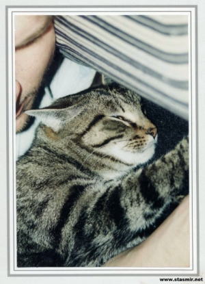 mancat