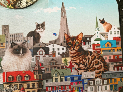 стасмир, стасмирнет, stasmir, stasmirnet, Hjarta Reykjavik