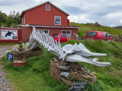 Gallery Freevilli. Название намекает на серию фильмов про, как оказалось, исландскую касатку — Free Willy. Фото Стасмир. Photo Stasmir.