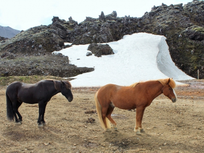 лошадки на Landmannalaugar, Ландманналёйгар, Лундаманналаугар, джип-сафари, Исландия, фото Стасмир, photo Stasmir,