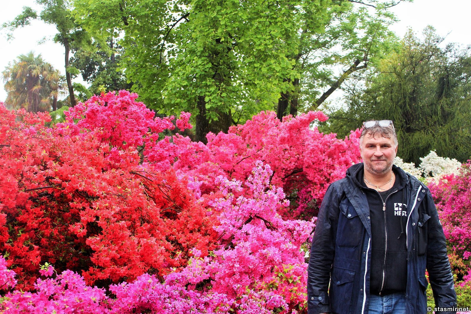 цветы Северной Италии, Giardini Botanici Villa Taranto, the Botanical Gardens of Villa Taranto, Ботанический сад Вилла Таранто, Пьемонт, Италия, озеро Маджоре, Стасмир, Стасмир Трэвэл, Станислав Смирнов, Stasmir, Stasmir Tarvel, Stanislav Smirnov
