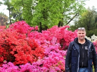 цветы Северной Италии, Giardini Botanici Villa Taranto, the Botanical Gardens of Villa Taranto, Ботанический сад Вилла Таранто, Пьемонт, Италия, озеро Маджоре, Стасмир, Стасмир Трэвэл, Станислав Смирнов, Stasmir, Stasmir Tarvel, Stanislav Smirnov