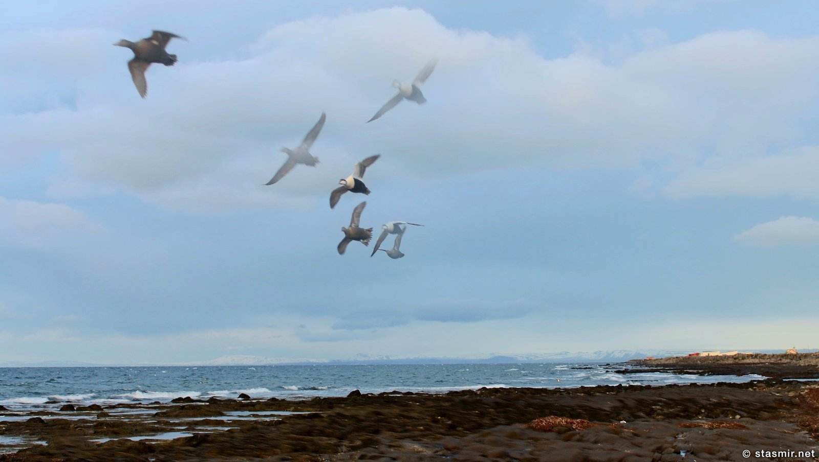 Garður, ноктюрн-закат на полуострове Рейкьянес у маяка Гардюр, Garður, Reykjanes, photo stasmir, Фото Стасмир