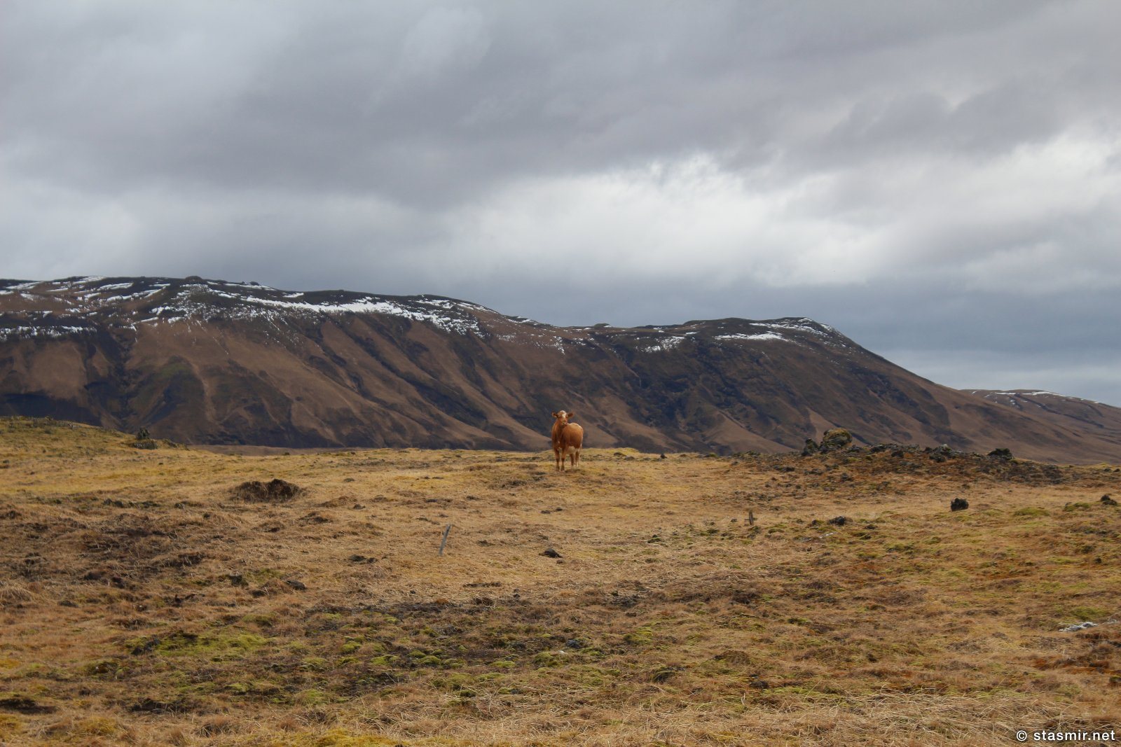 исландсике пейзажи в районе Fljótshlíð, Южная Исландия, фото Стасмир, photo Stasmir