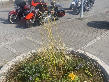Байкеры в центре Рейкьявика перед первомайским шествием, фото Стасмир, photo Stasmir