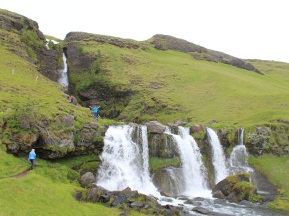 Приключения на Южном Берегу в зарослях люпина, фото Стасмир, photo Stasmir