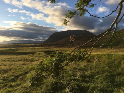 Самая славная рябина в Исландии на пути к ледниковой лагуне, фото Стасмир, photo  Stasmir