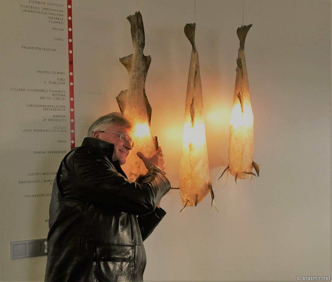 cod-skin-lamps, Лампы из тресковой кожи, фото Стасмир, Photo Stasmir
