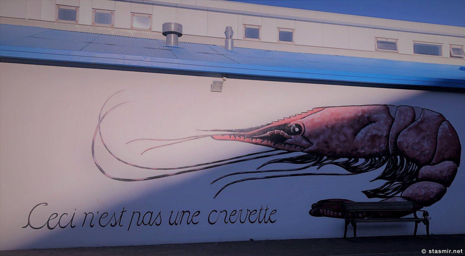 crevette, Это не креветка. Хужожественная роспись стены рыбзавода, Скагафьердюр, фото Стасмир, photo Stasmir