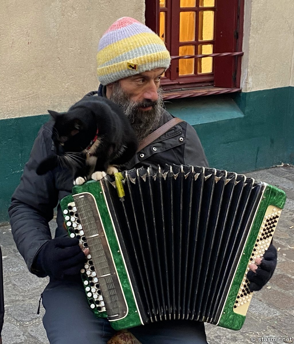 Уличный музыкант с котом на Монмартре, Париж, фото Стасмир, photo Stasmir