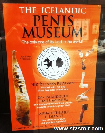 Penis Museum, Icelandic Phallological Museum, музей пенисов в Рейкьявике, фото Стасмир, photo Stasmir, Из всех наук самая важная для нас — фаллология!, музей пенисов, пенистый музей, Рейкьявик, Исландия, фалеоллогический музей, музей пениса, пениса музей, пенис по-исландск, Penis Museum, Береги свой хой!