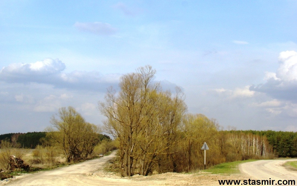 Дерево, весна в Тульской области, Фото Стасмир, Photo Stasmir