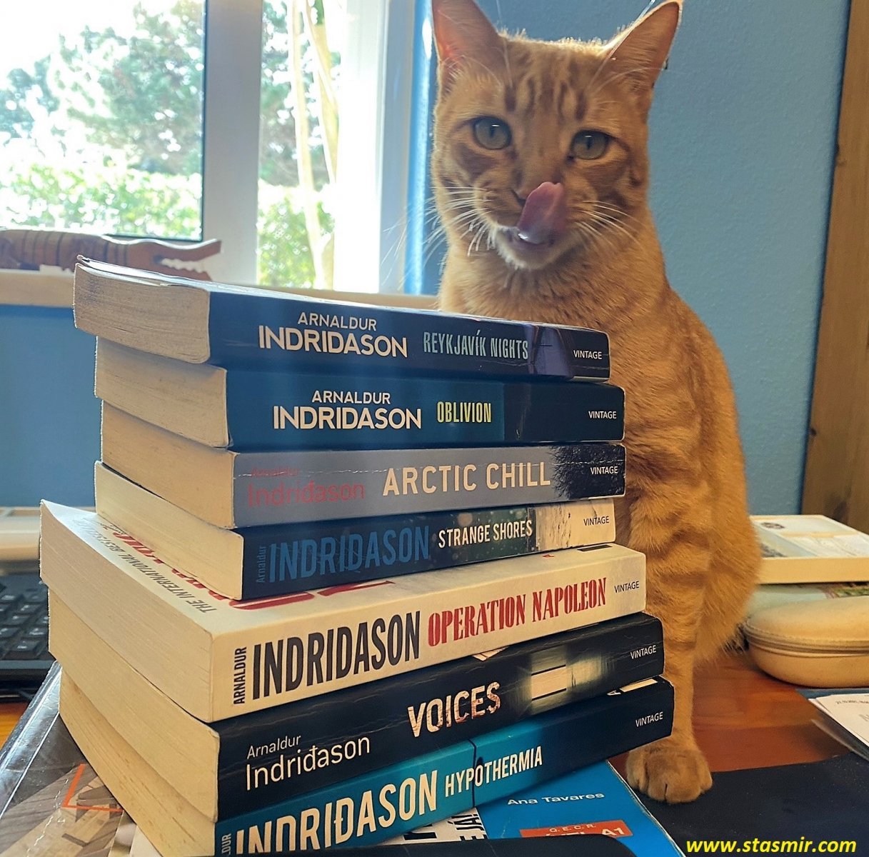 My cat likes Arnaldur Indridason, photo Stasmir, фото Стасмир