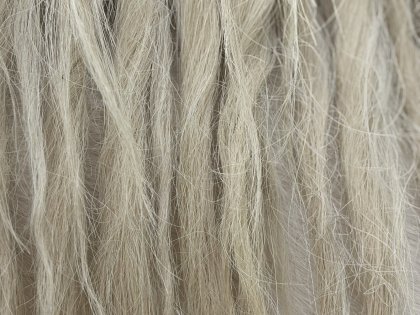 грива лошади в Исландии, фото  Стасмир, photo Stasmir