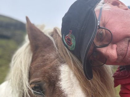 Исландская лошадка, фото Стасмир, photo Stasmir