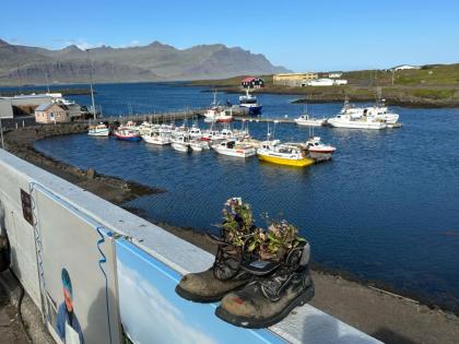 Djupivogur boots, Djúpivogur,  Восточный фьорды Исландии, ботинки как вазы для цветов в Восточной Исландии, фото Стасмир, Photo Stasmir