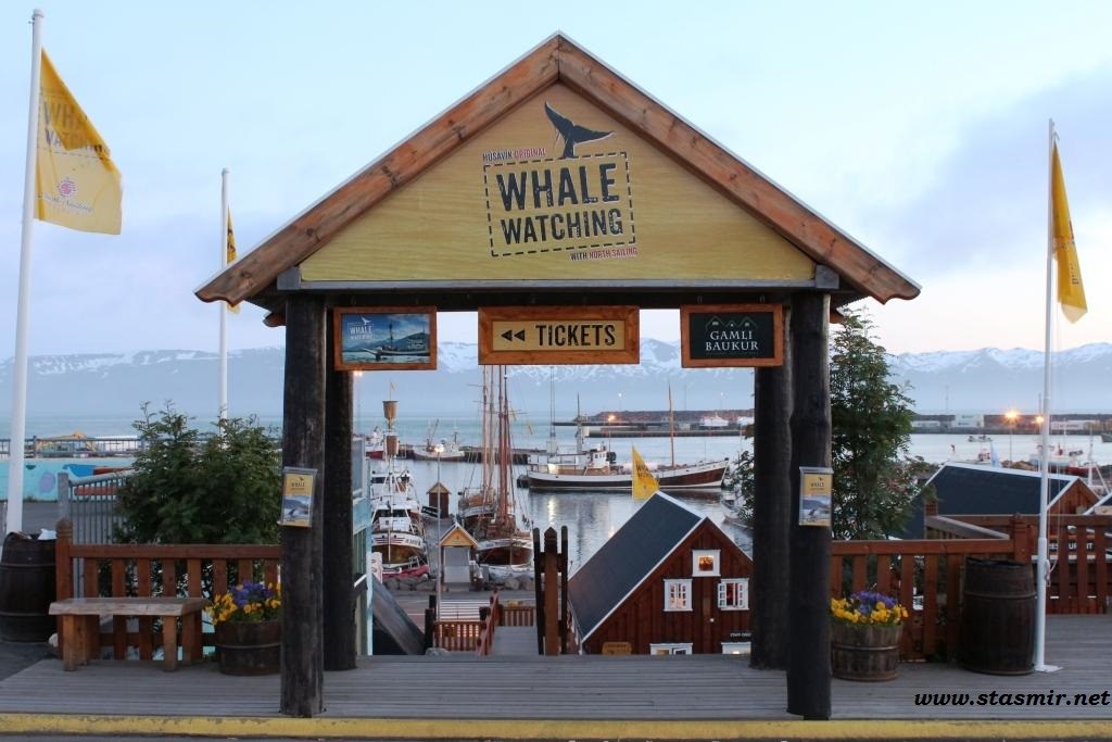 whalegate