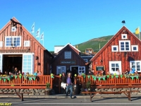 gamli baukur