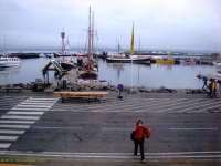 no money in whaling