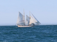 schooner