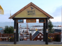 whalegate