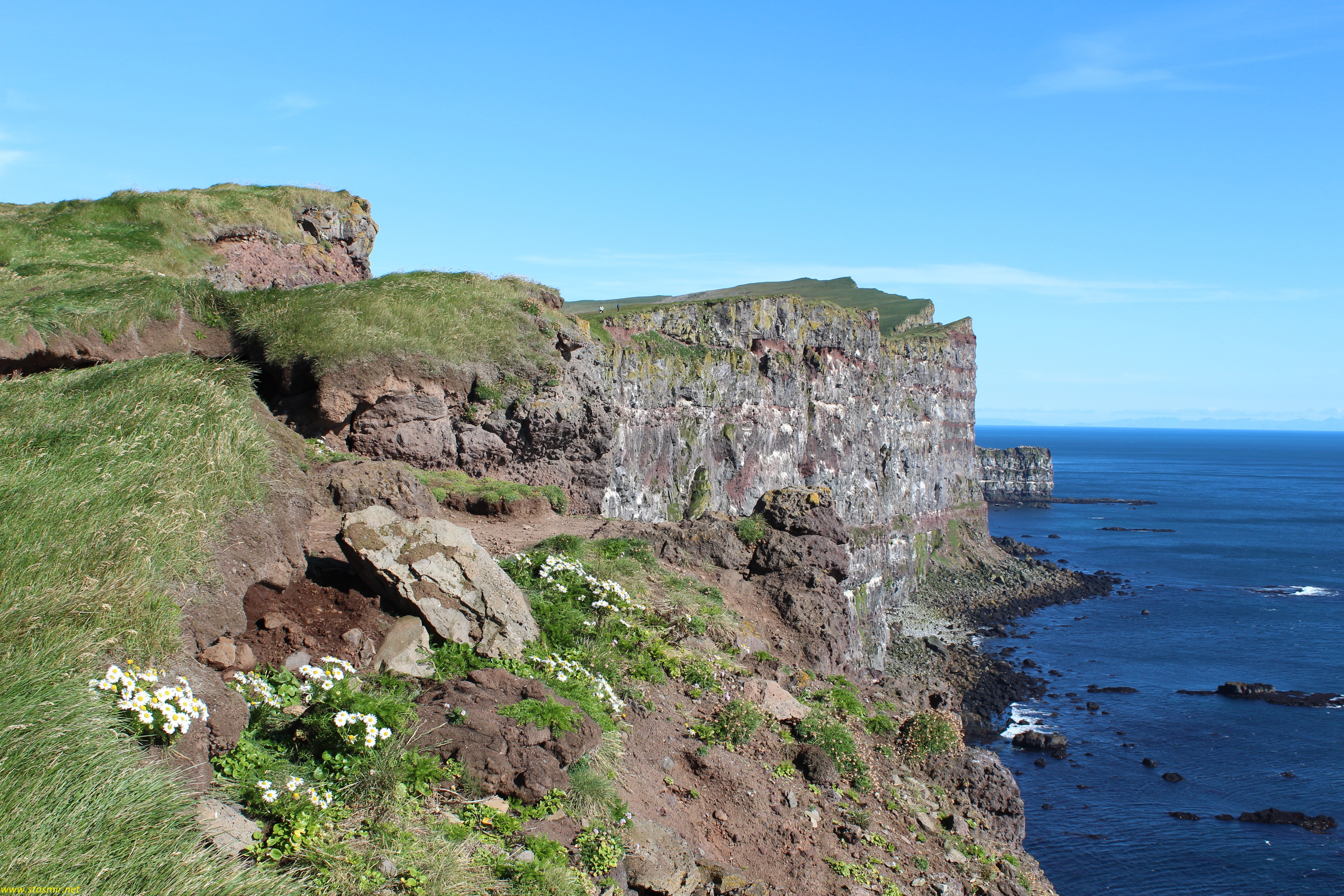 latrabjarg-top