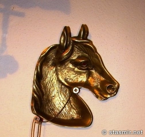 in horse we trust