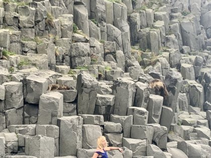 Reynisfjara, The Black Sand Beach, Photo stasmir, stasmirnet
