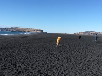 Reynisfjara, The Black Sand Beach, Photo stasmir, stasmirnet